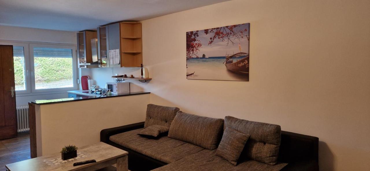 באד שאלנבאך Adam'S Ferienapartments מראה חיצוני תמונה